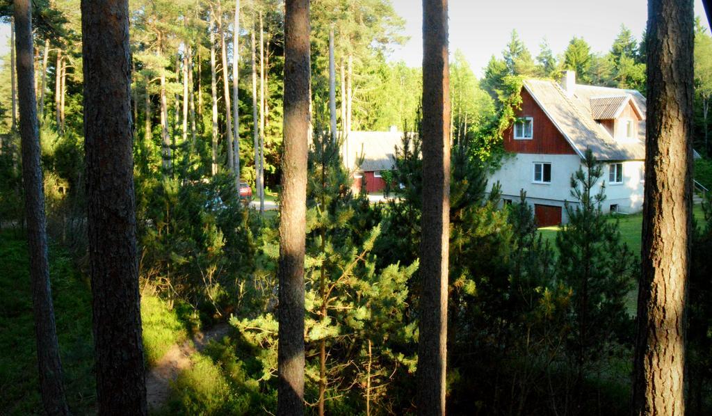 Roosi Holiday Home Rannaküla Εξωτερικό φωτογραφία